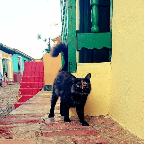 Meet your Posher, Lucinda - Picture 1 of 1